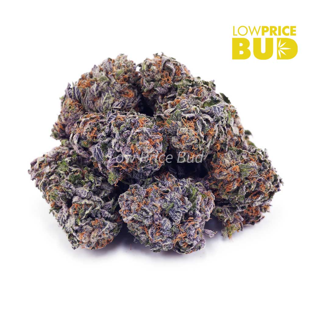 Buy Purple Ice Wreck (AAAA) online Canada