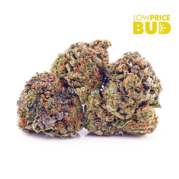 Buy Girl Scout Cookies (AAA) online Canada