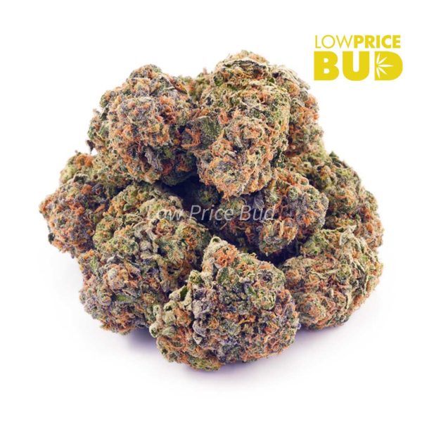 Buy Girl Scout Cookies (AAA) online Canada