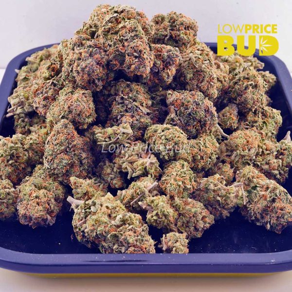 Buy Girl Scout Cookies (AAA) online Canada