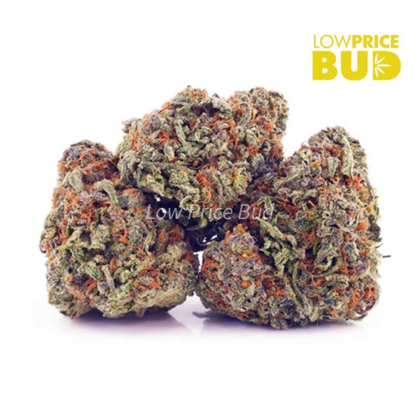 Buy Pineapple Express (AA) online Canada
