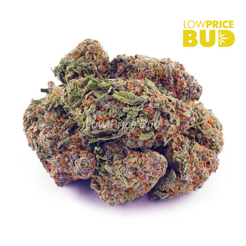 Buy Pineapple Express (AA) online Canada