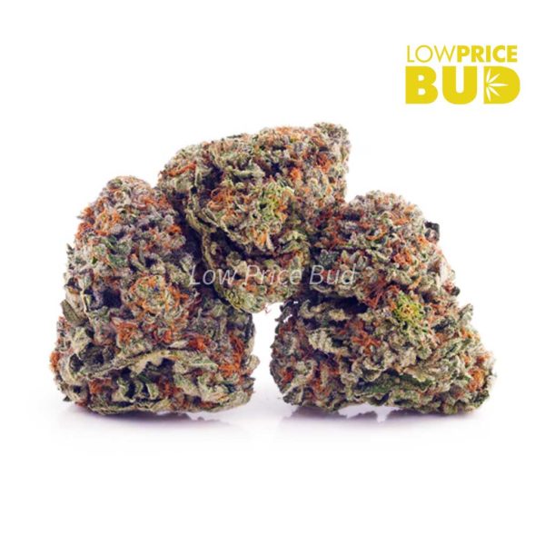 Buy Rainbow Kush (AA) online Canada
