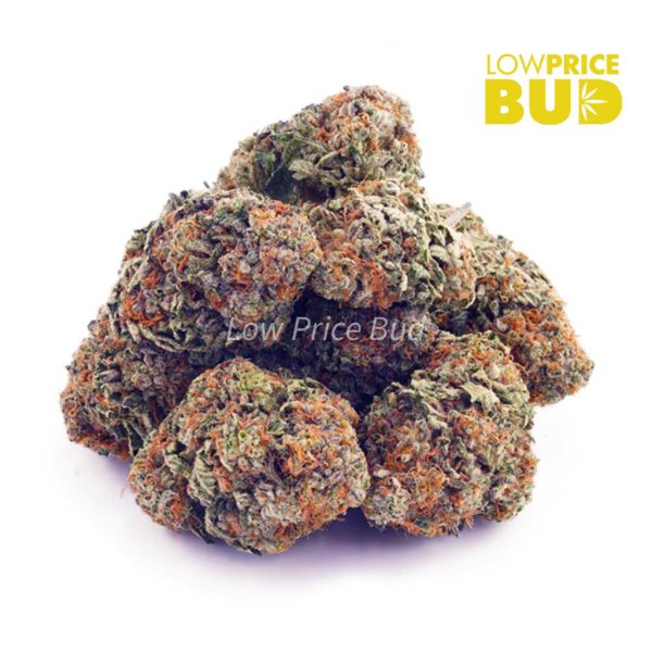 Buy Rainbow Kush (AA) online Canada