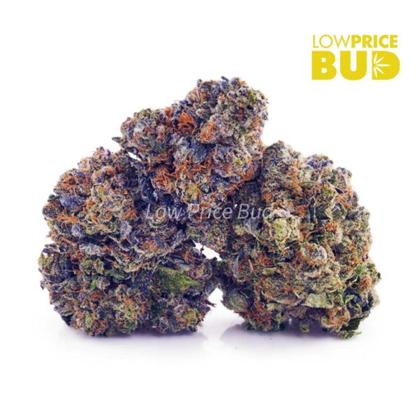 Buy Purple Kush (AAA) online Canada