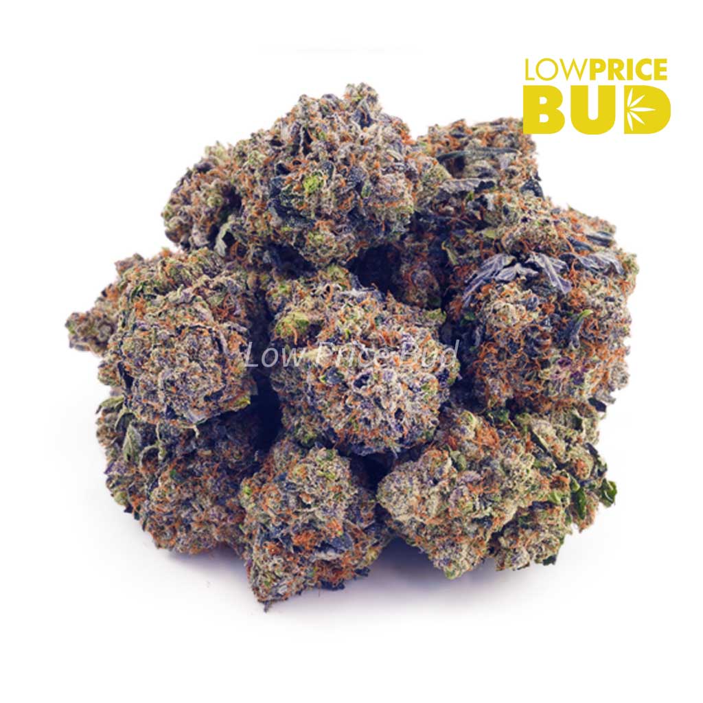 Buy Purple Kush (AAA) online Canada