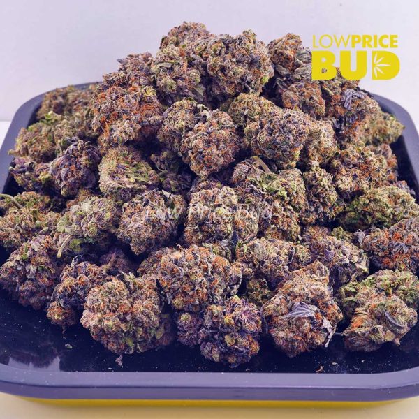 Buy Purple Kush (AAA) online Canada