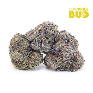 Buy Build Your Own Oz 8 x 3.5g online Canada