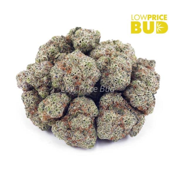 Buy Blue Dream (AAAA) online Canada