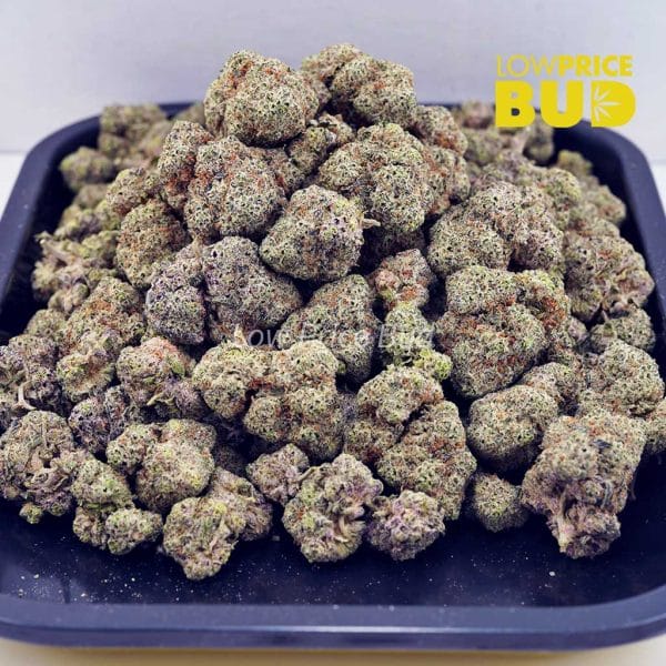 Buy Blue Dream (AAAA) online Canada