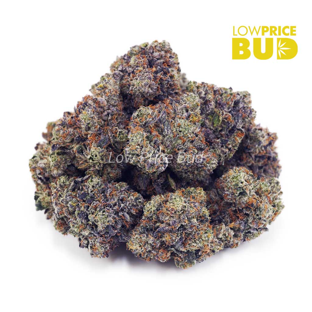 Buy Pink Kush (AAAA) online Canada