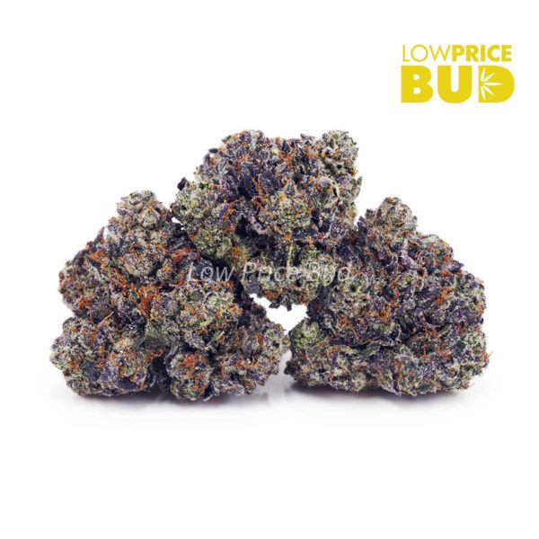 Buy Tom Ford Pink Kush (Craft Cannabis) online Canada