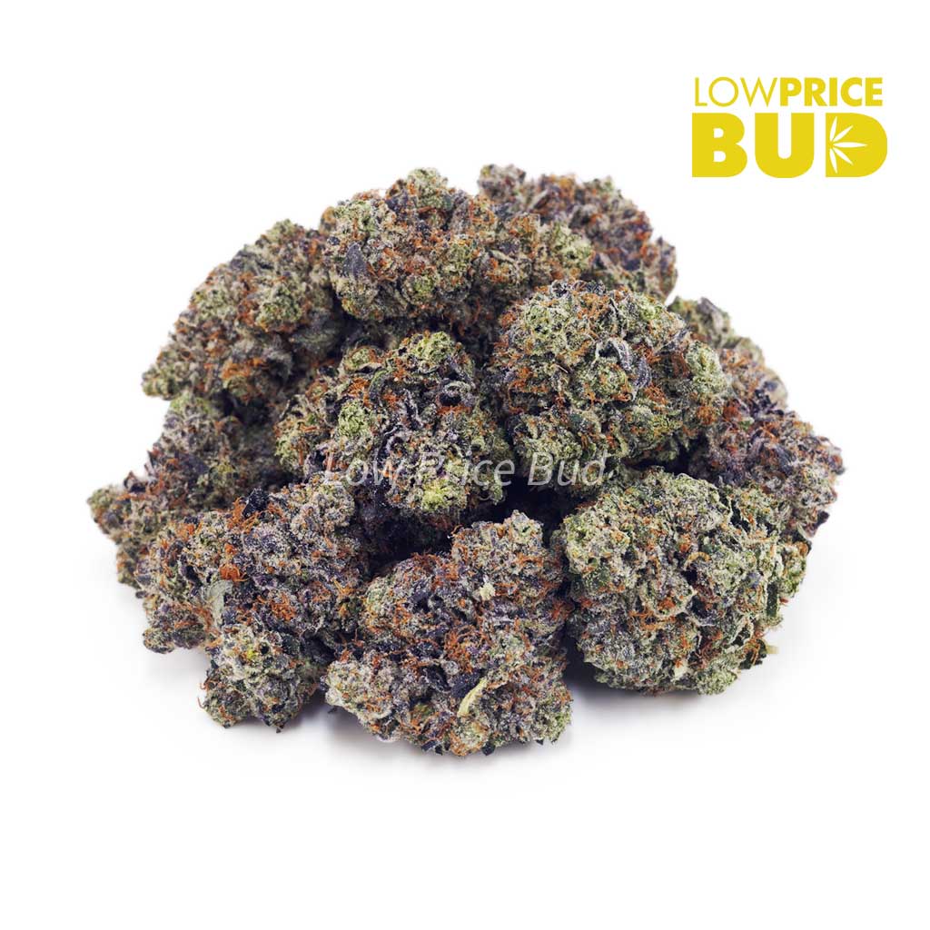 Buy Tom Ford Pink Kush (Craft Cannabis) online Canada
