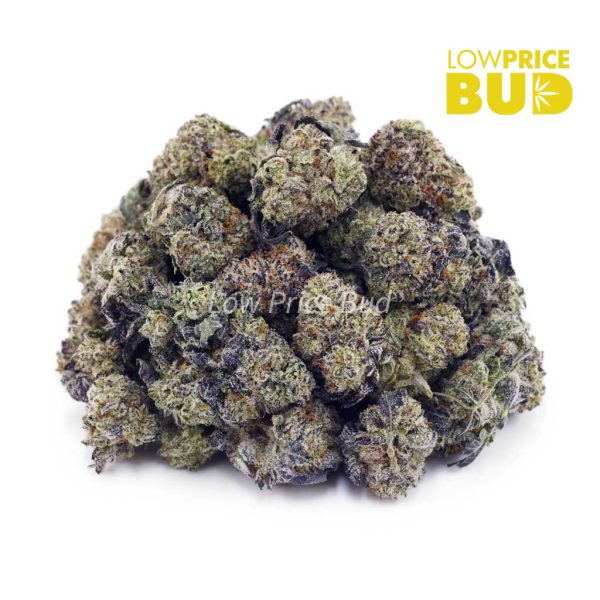 Buy Pink Guava (AAAA) – Popcorn Nugs online Canada