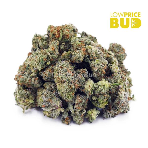 Buy Ube Cream (AAAA) – Popcorn Nugs online Canada