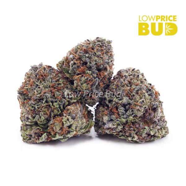 Buy Banana Cheesecake (AAA) online Canada