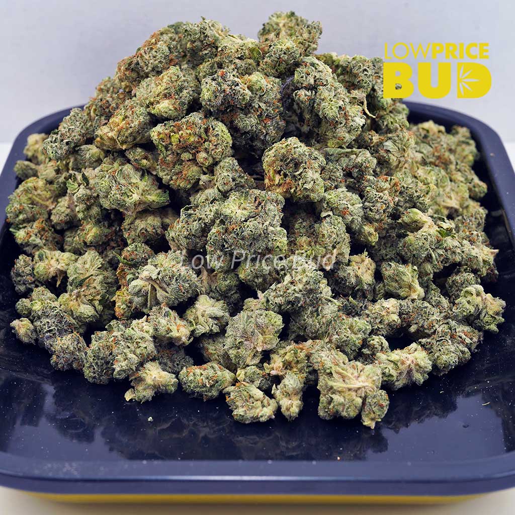 Buy Miracle Alien Cookies (AAAA) – Popcorn Nugs online Canada