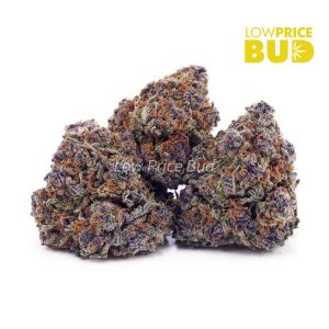 Buy Build Your Own 7g online Canada