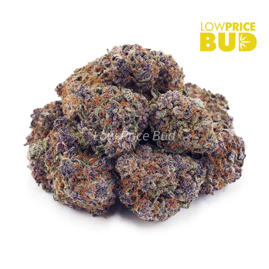 Buy Purple Godbud (AAA) online Canada