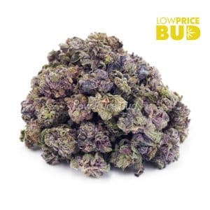 Buy Zmoothies (AAAA) – Popcorn Nugs online Canada