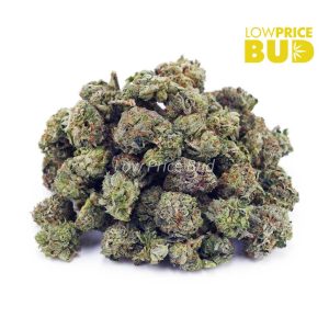 Buy Scooby Snacks (AAAA) – Popcorn Nugs online Canada