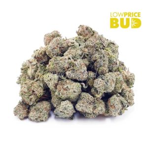 Sunset Sherbet (AAAA) – Popcorn Nugs Buy Sunset Sherbet (AAAA) – Popcorn Nugs online Canada