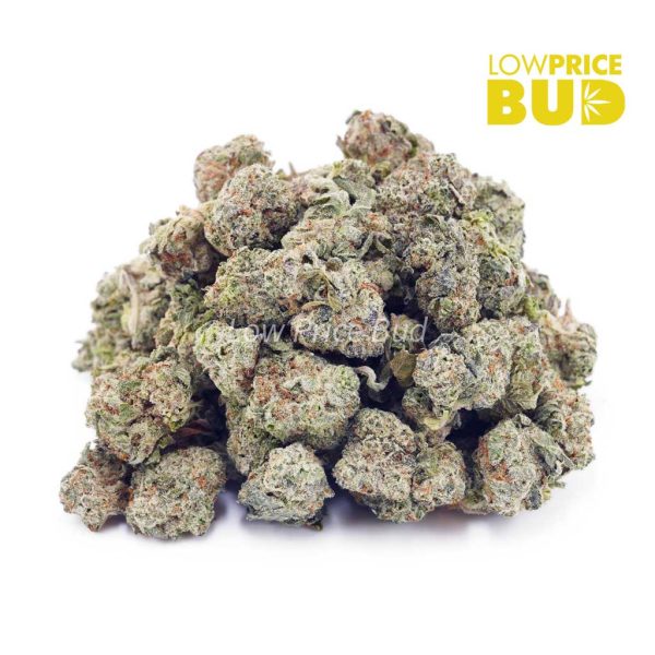 Buy Sunset Sherbet (AAAA) – Popcorn Nugs online Canada