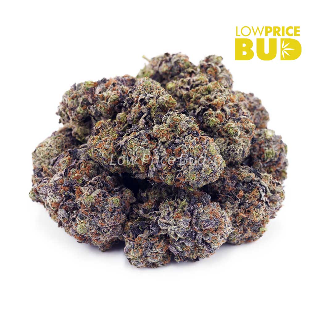 Buy Couch Lock (Craft Cannabis) online Canada