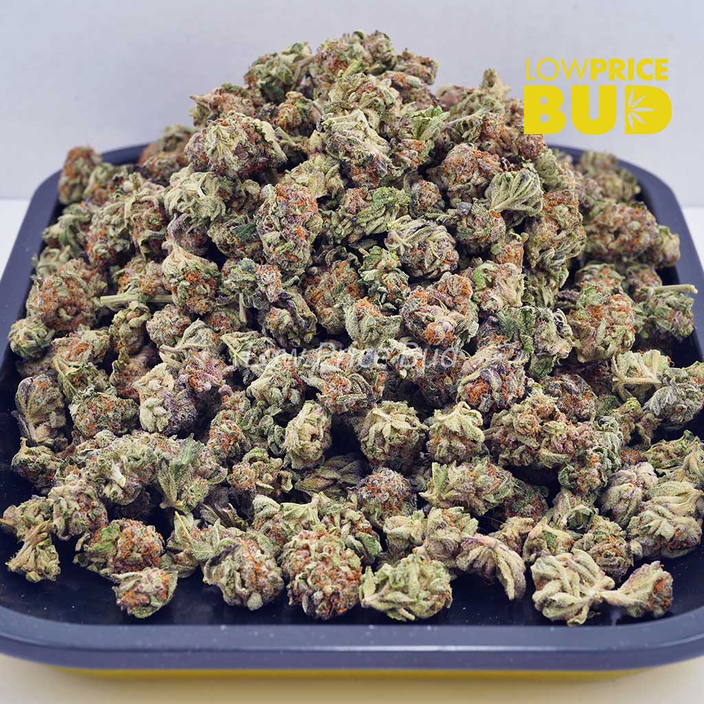 Buy Ice Pop (AAAA) – Popcorn Nugs online Canada