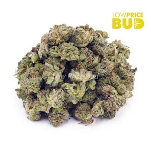 Buy Pink Gas (AAAA) – Popcorn Nugs online Canada