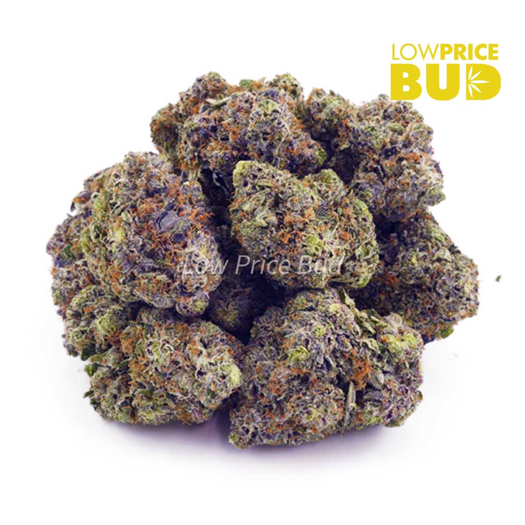 Buy Pink Rob Ford (Craft Cannabis) online Canada