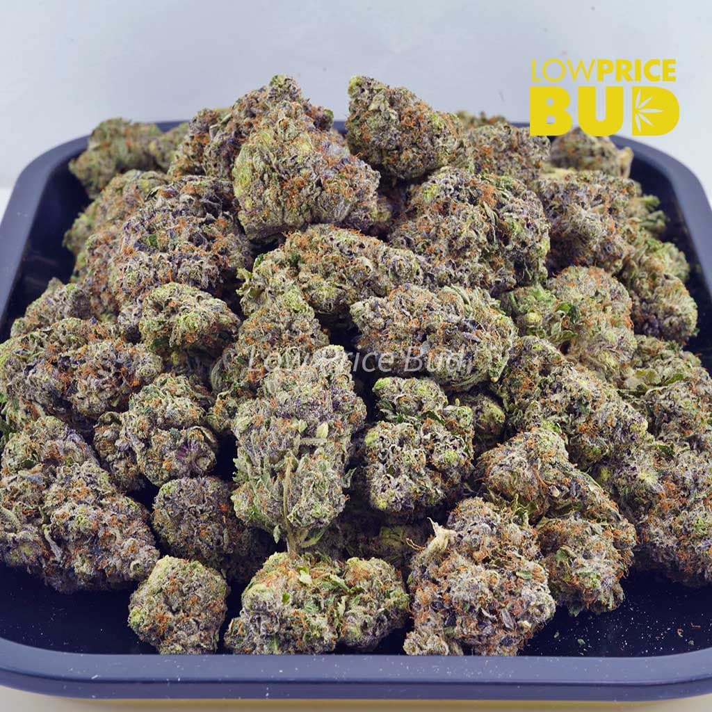 Pink Rob Ford (Craft Cannabis) Buy Pink Rob Ford (Craft Cannabis) online Canada