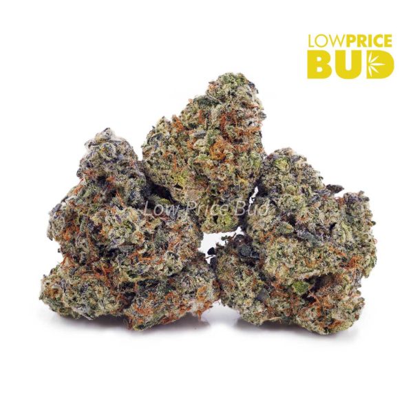 Buy SFV OG (AAAA) online Canada