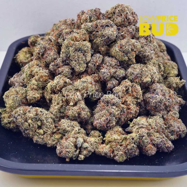 Buy SFV OG (AAAA) online Canada