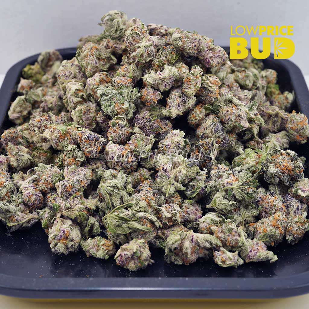 Buy Frosted Gumbo (AAAA) – Popcorn Nugs online Canada