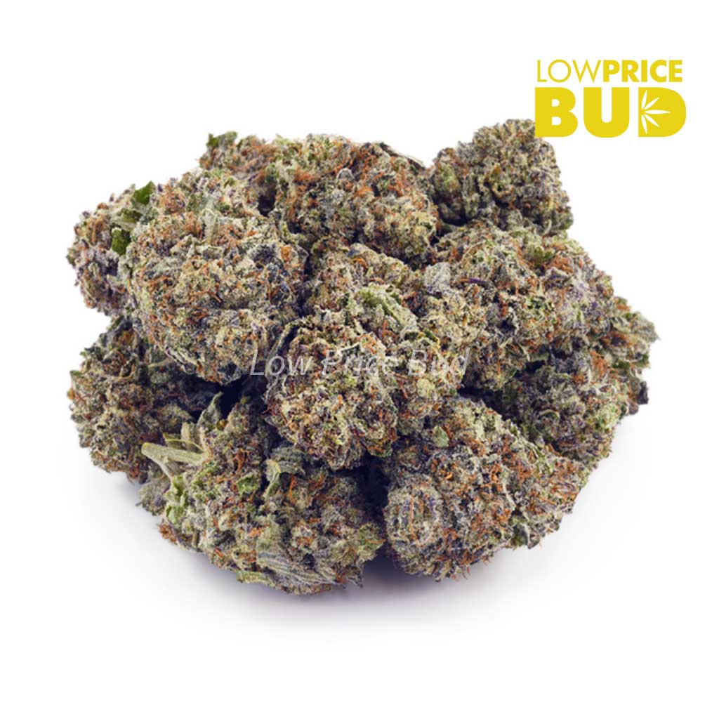 Buy Tangerine Dream (AA) online Canada