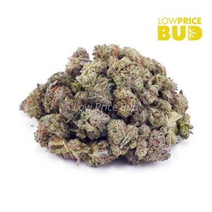 Buy Dub Breath (AAAA) – Popcorn Nugs online Canada