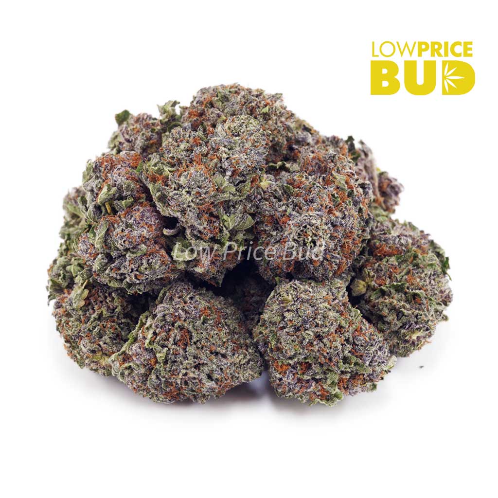 Buy Black Diamond (AA) online Canada