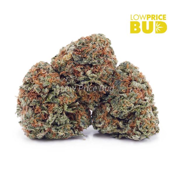Buy Lemon Haze (AA) online Canada