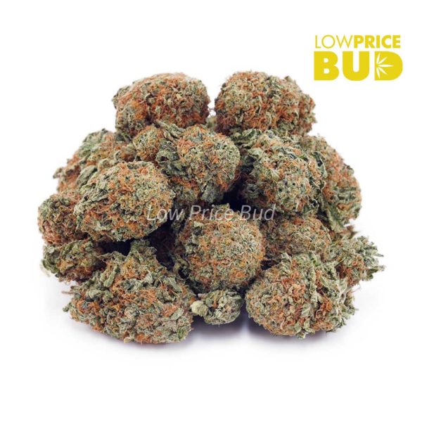 Buy Lemon Haze (AA) online Canada