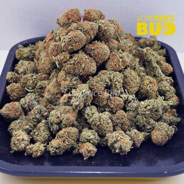 Buy Lemon Haze (AA) online Canada