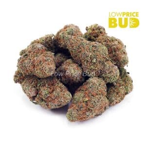 Astroboy (AA) Buy Astroboy (AA) online Canada