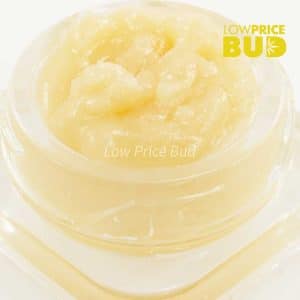 Caviar – God’s Breath Buy Caviar – God’s Breath online Canada