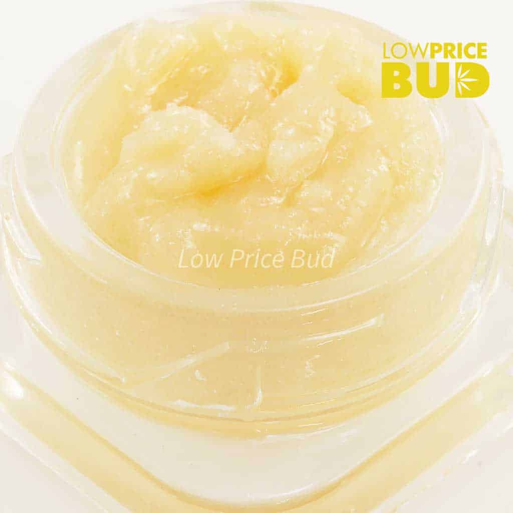 Caviar – God’s Breath Buy Caviar – God’s Breath online Canada