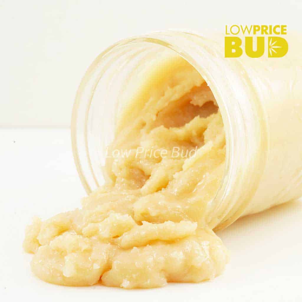 Caviar – God’s Breath Buy Caviar – God’s Breath online Canada