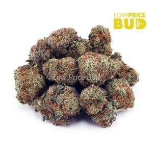 Buy God Bud (AA) online Canada