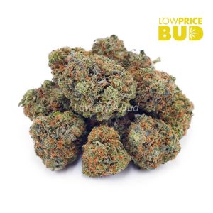 Juicy Fruit (AAA) Buy Juicy Fruit (AAA) online Canada