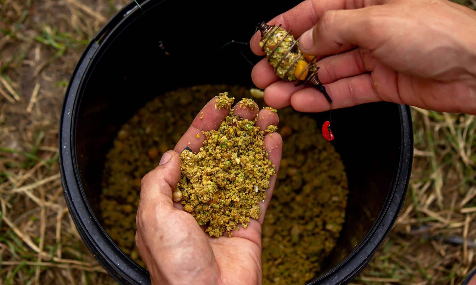 Should you buy live resin online or at a physical dispensary? Explore the benefits of ordering weed online, from convenience, low prices to privacy.