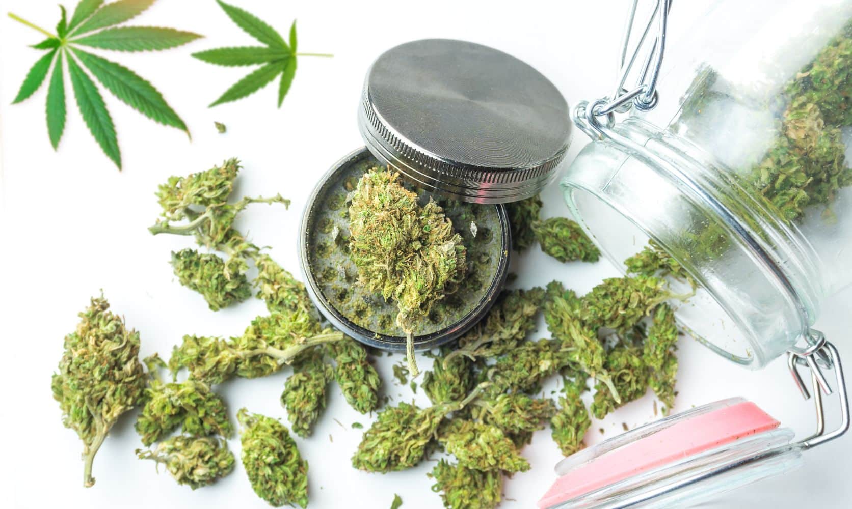 What's the best online dispensary in Canada? We compare LowPriceBud & Herb Approach weed stores online to help you determine where to order