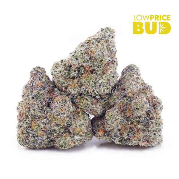 Buy Bacio Gelato (Craft Cannabis) online Canada